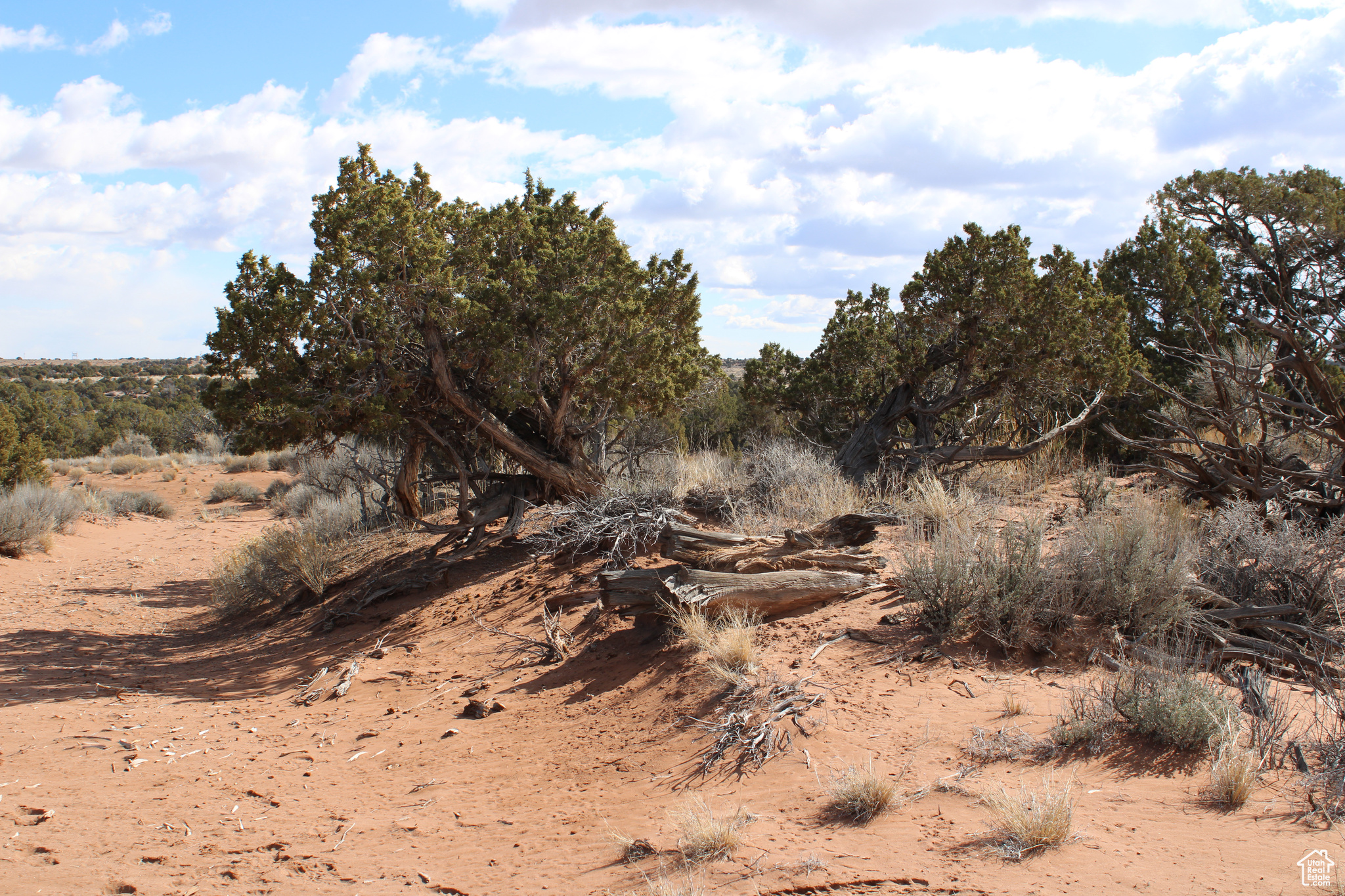 #17A, Duchesne, Utah image 5