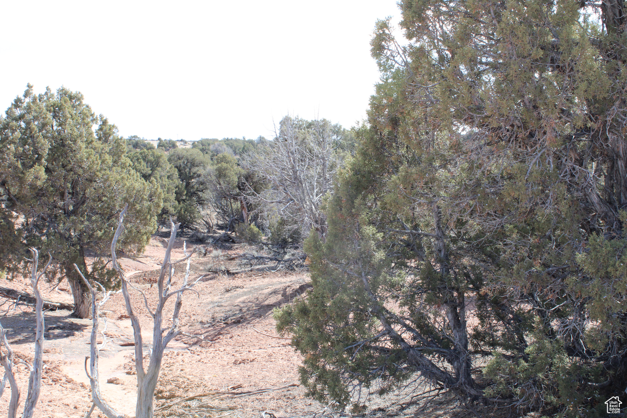 #17A, Duchesne, Utah image 6