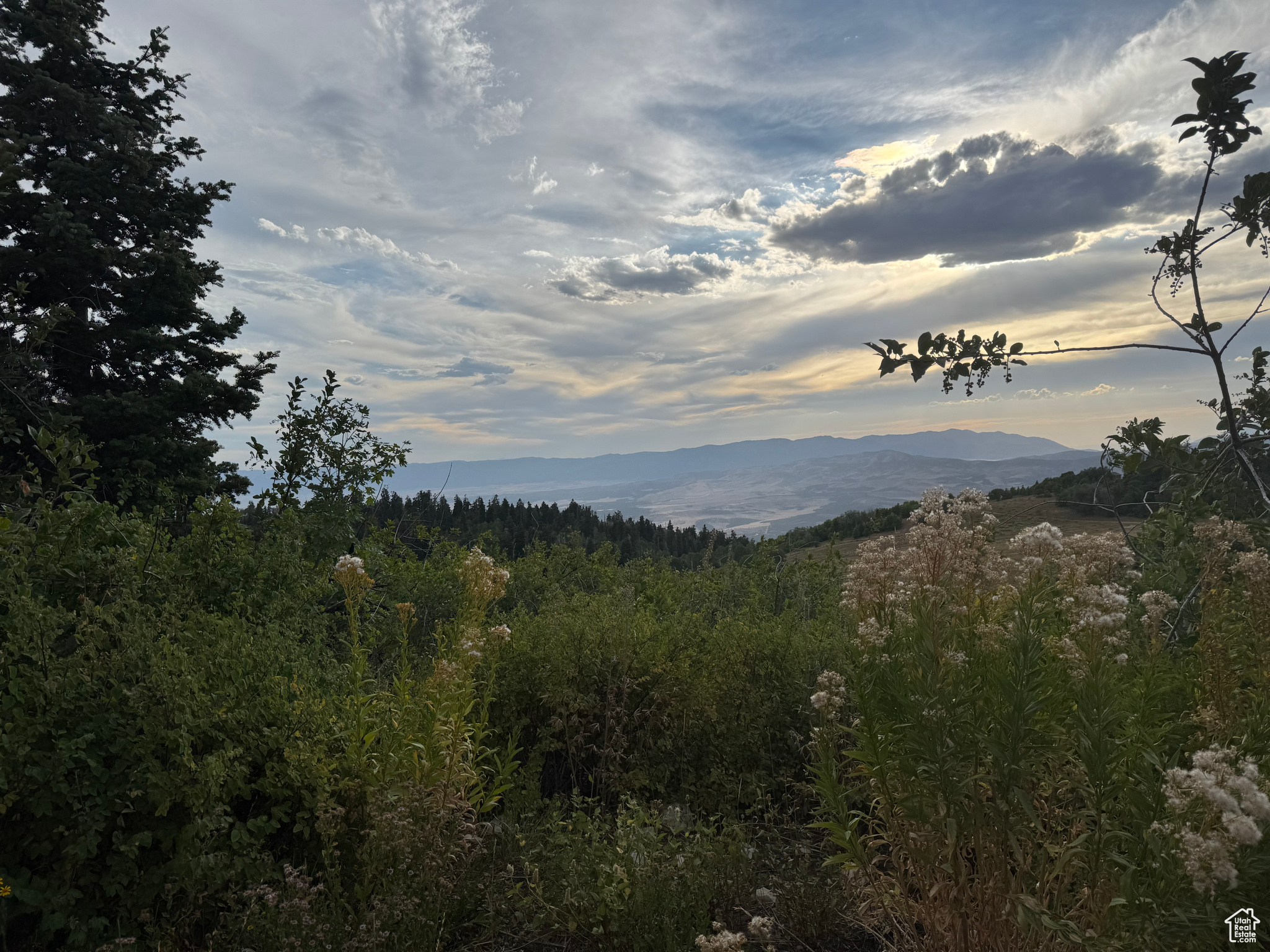 SKYLINE MOUNTAIN RESORT - Land