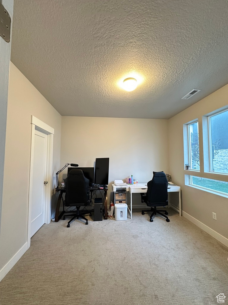 413 S 980, American Fork, Utah image 8
