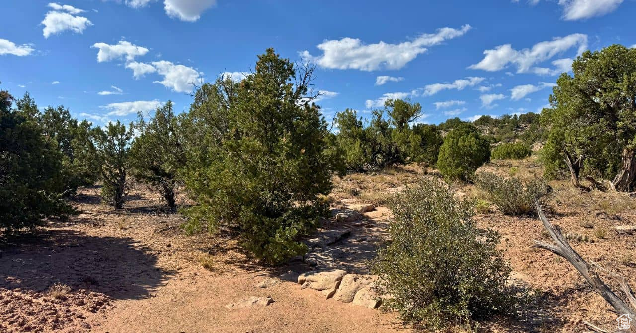 COYOTE HILLS NORTH - Land