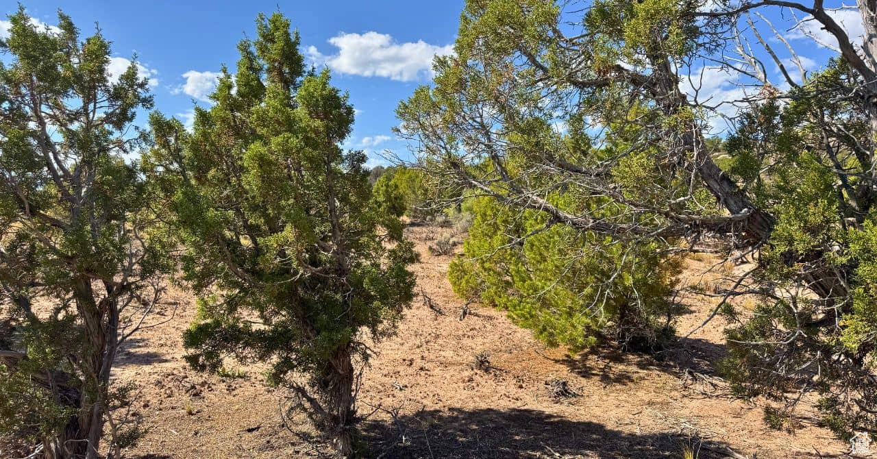 COYOTE HILLS NORTH - Land