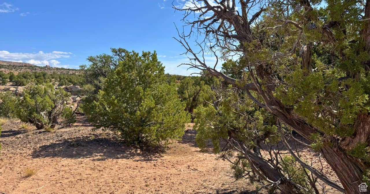 COYOTE HILLS NORTH - Land