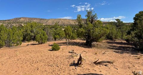 Vacant Land For Sale - #7<br/> Duchesne, UT 84021