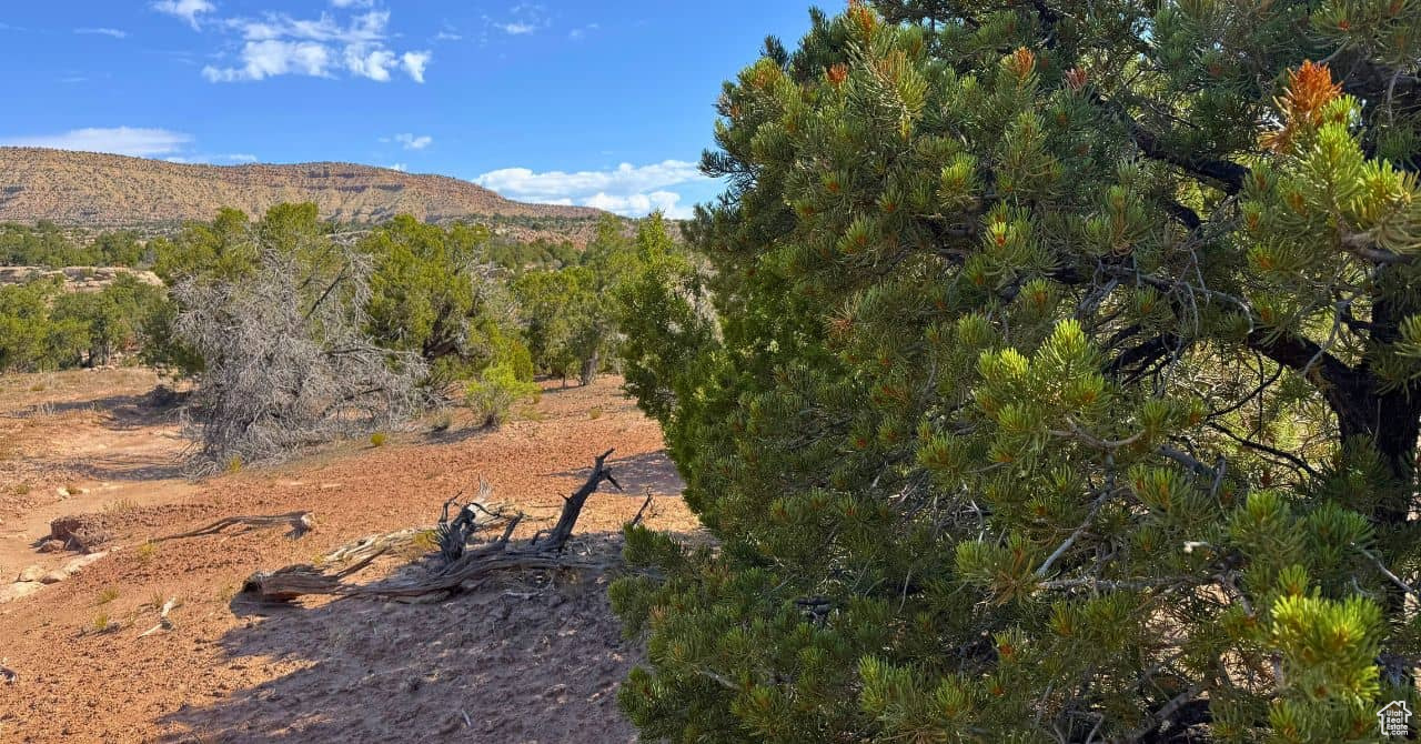 COYOTE HILLS NORTH - Land