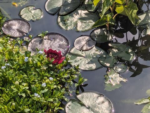 Tiny photo for 3935 S 7200 W, Magna, UT 84044 (MLS # 2136998)