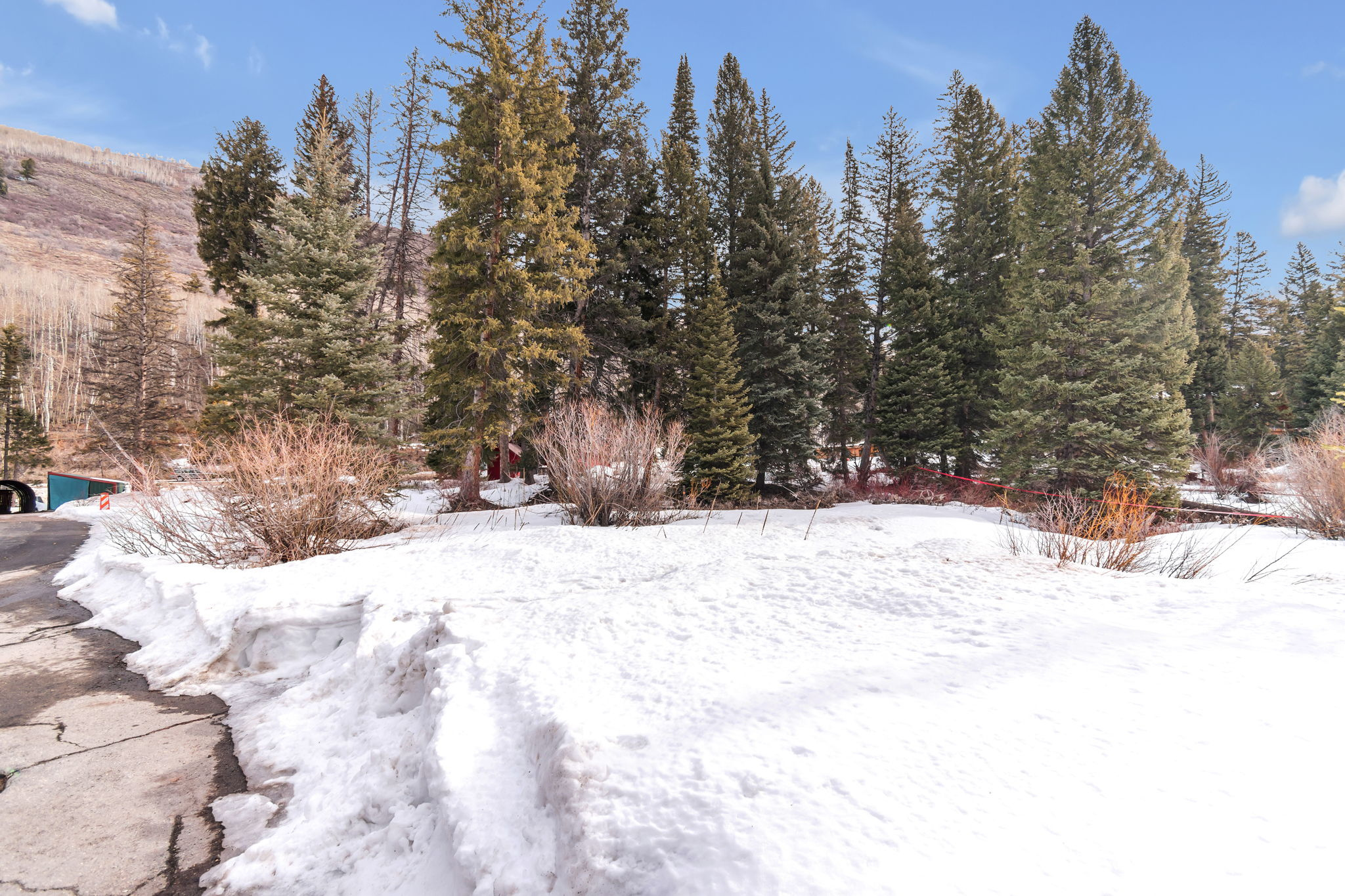 PINE TREE SUB - Land