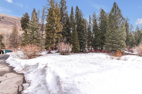 Tiny photo for 10840 E MOOSE RUN LN Ln #21,22, Brighton, UT 84121 (MLS # 2145115)