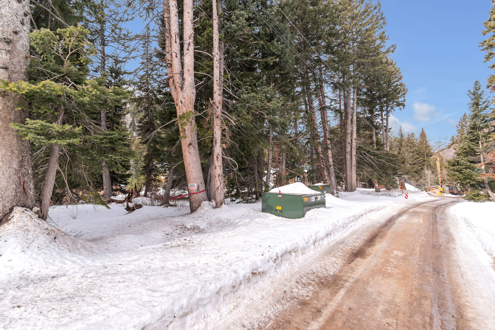 PINE TREE SUB - Land