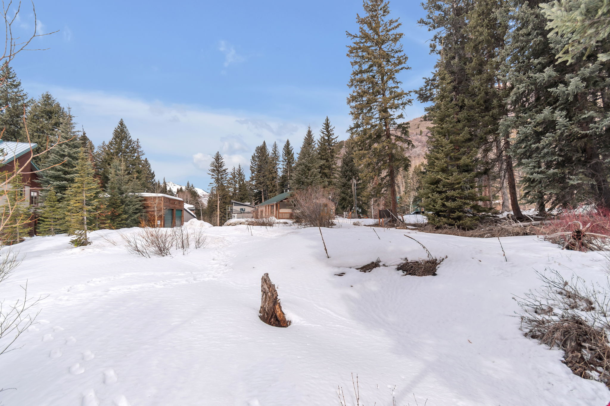 PINE TREE SUB - Land