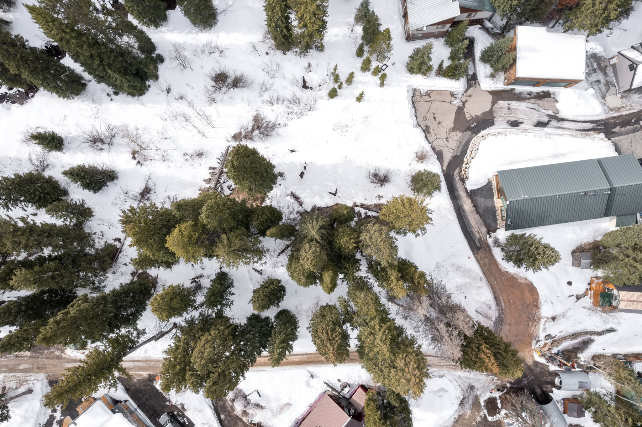 PINE TREE SUB - Land