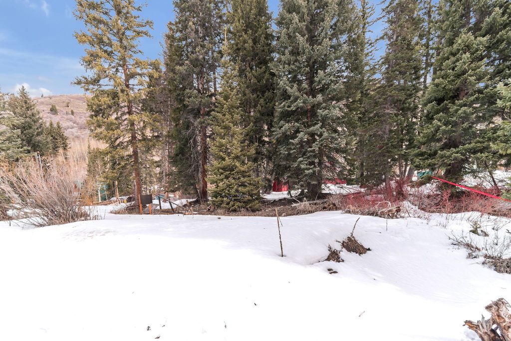 Photo of 10840 E MOOSE RUN LN Ln #21,22, Brighton, UT 84121 (MLS # 2145115)