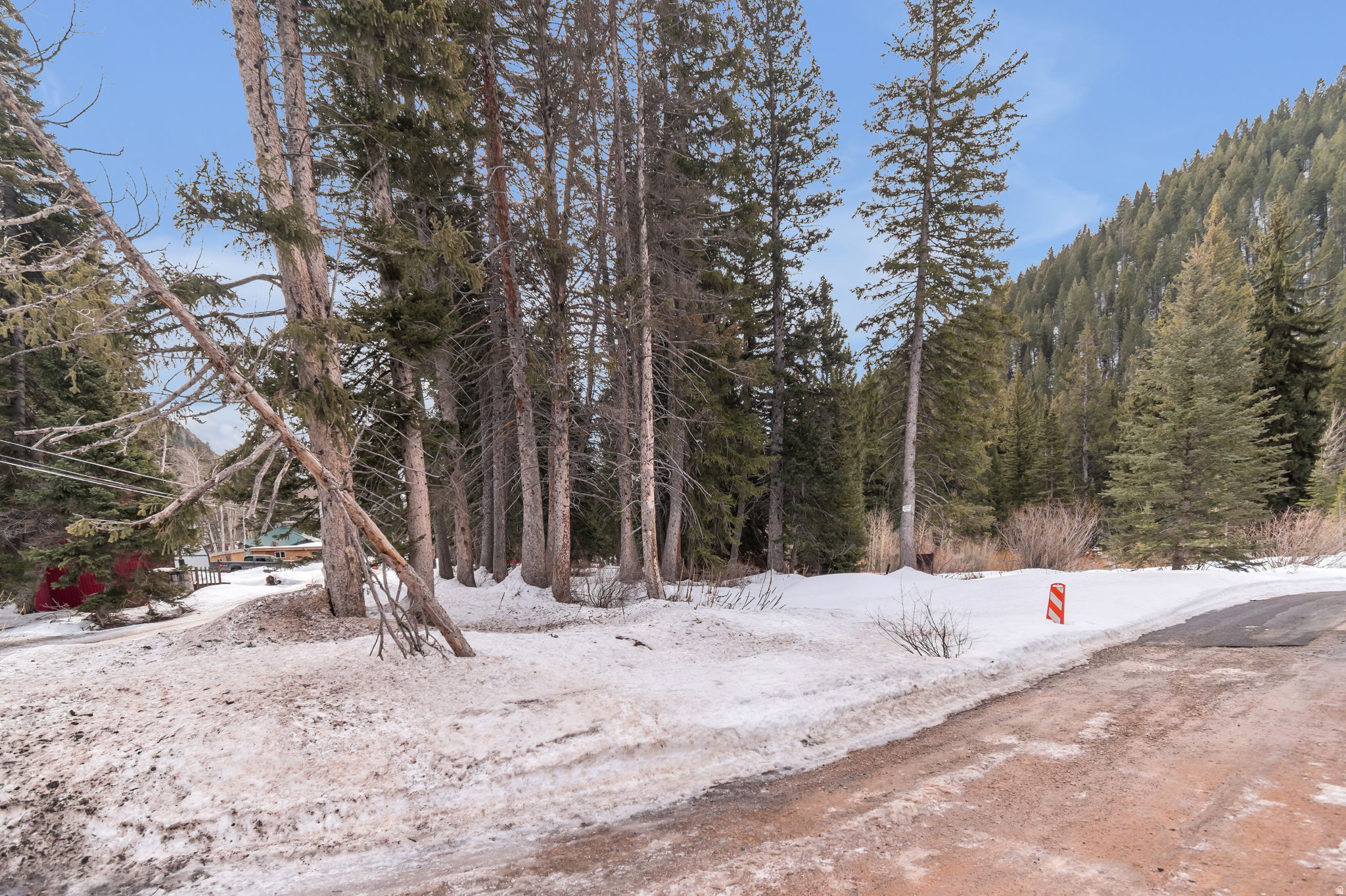 PINE TREE SUB - Land