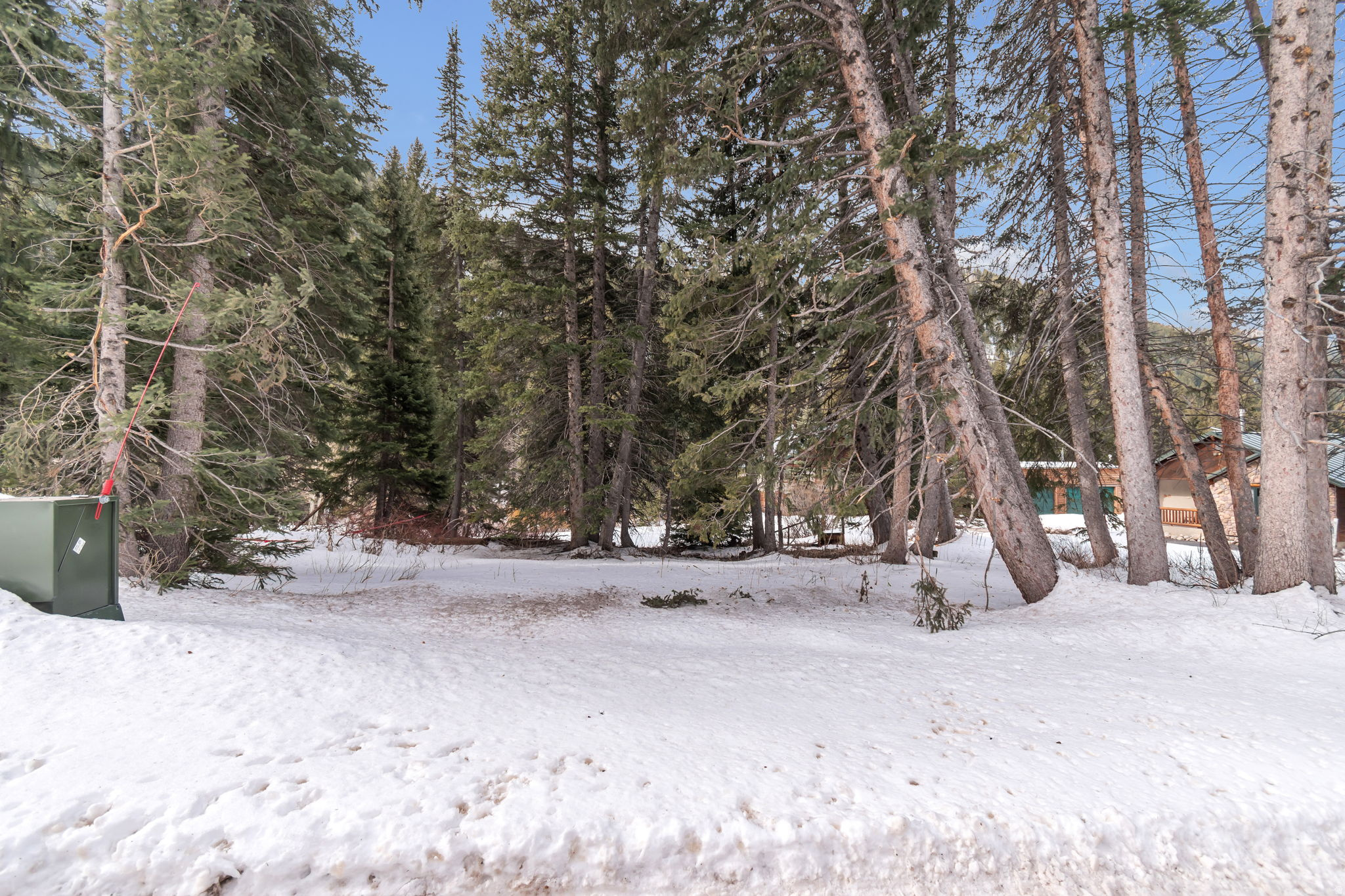 PINE TREE SUB - Land