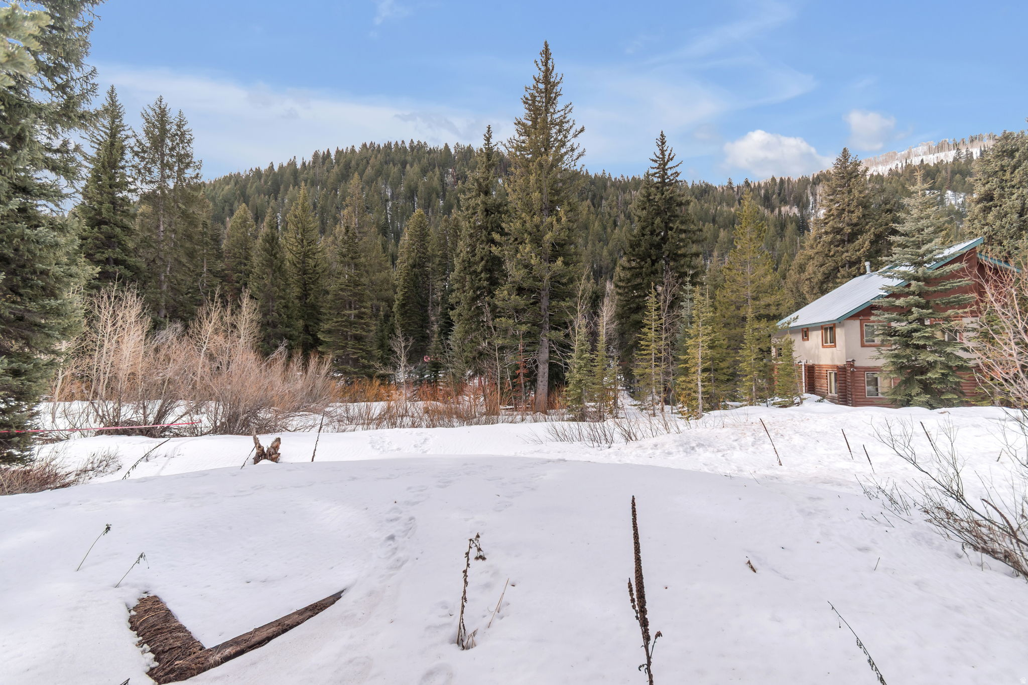 PINE TREE SUB - Land