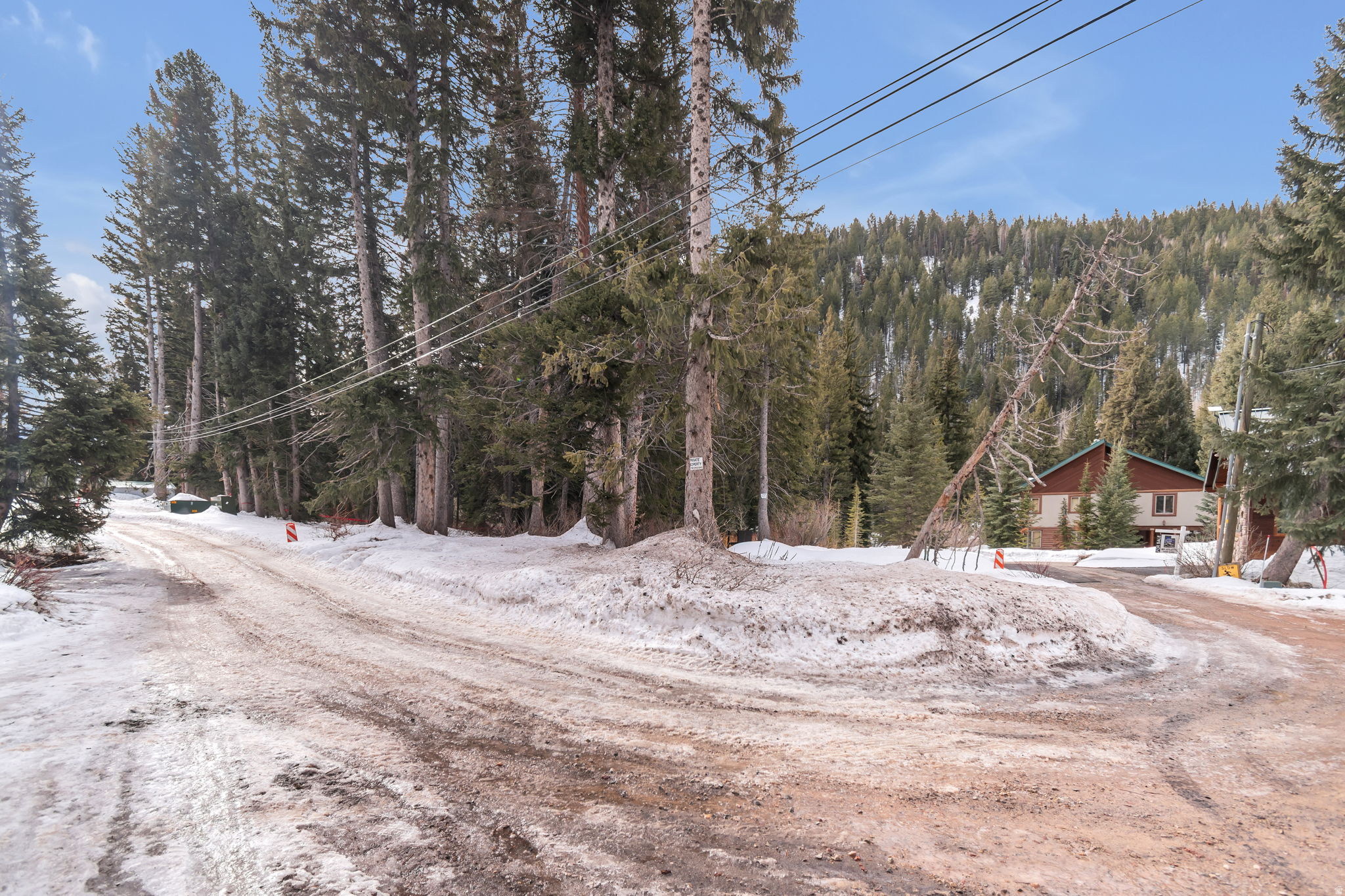 PINE TREE SUB - Land