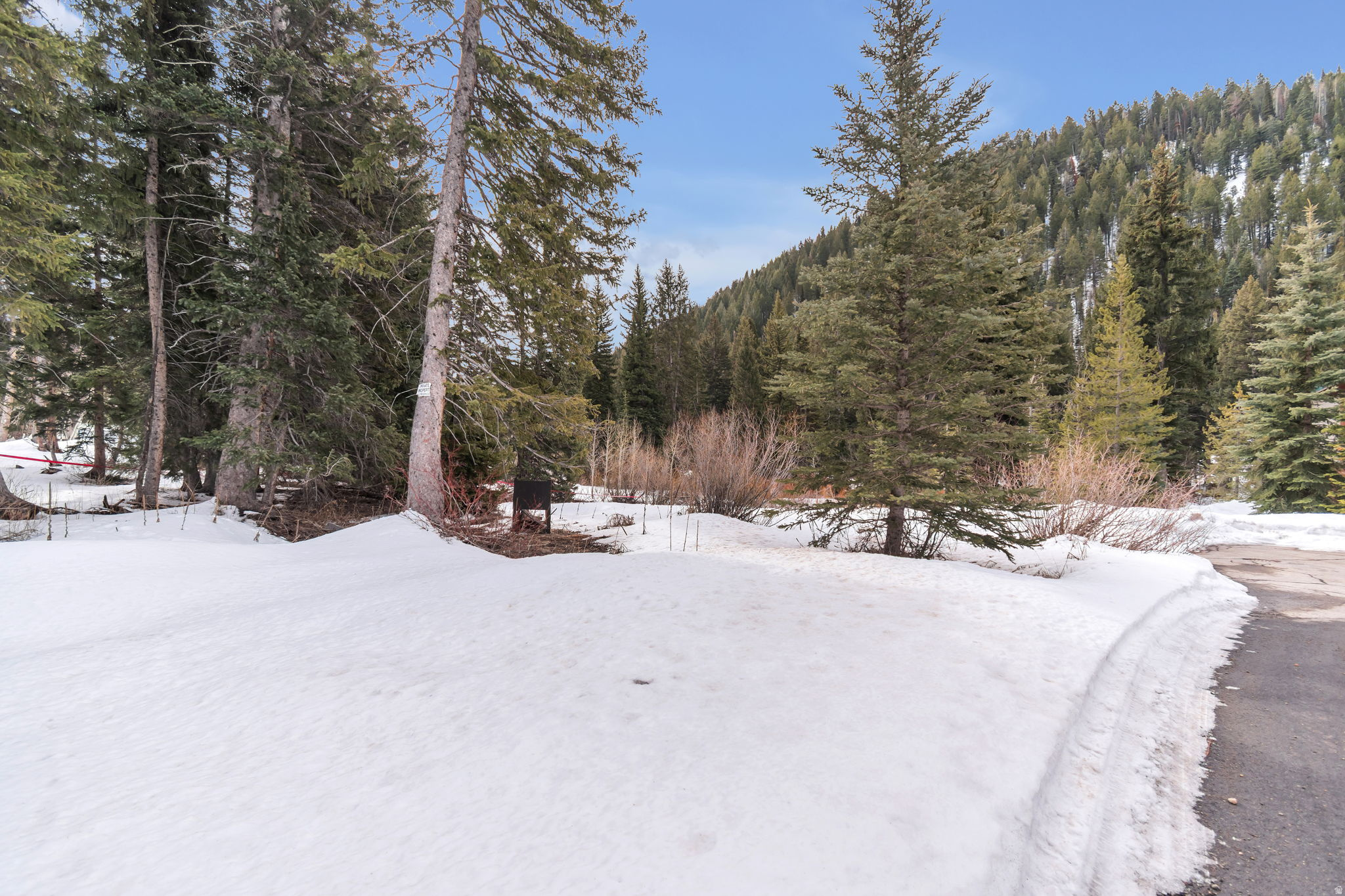 PINE TREE SUB - Land