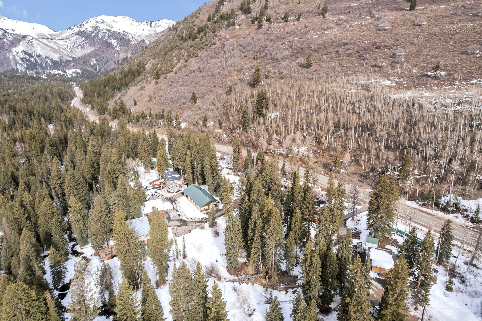 PINE TREE SUB - Land