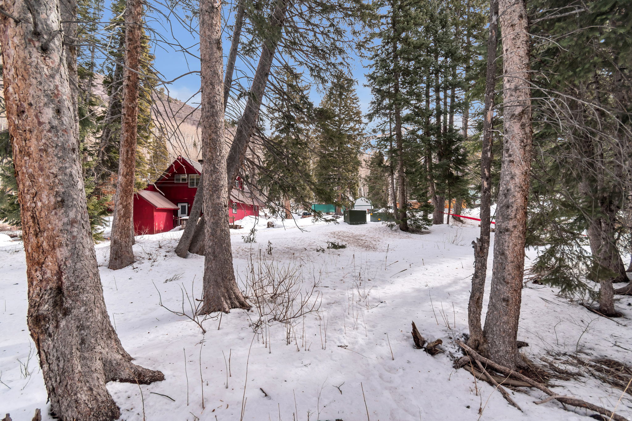 PINE TREE SUB - Land