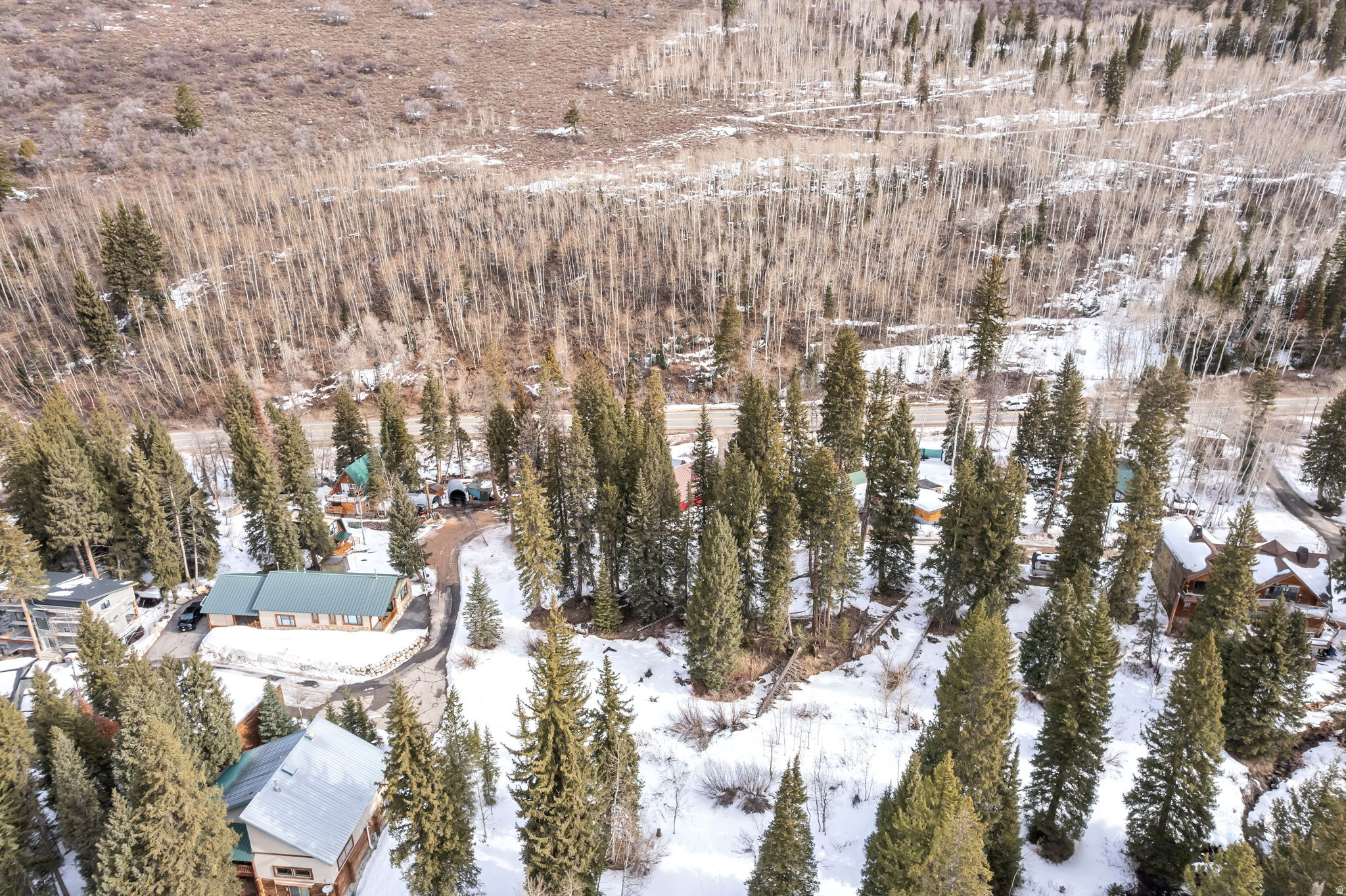 PINE TREE SUB - Land