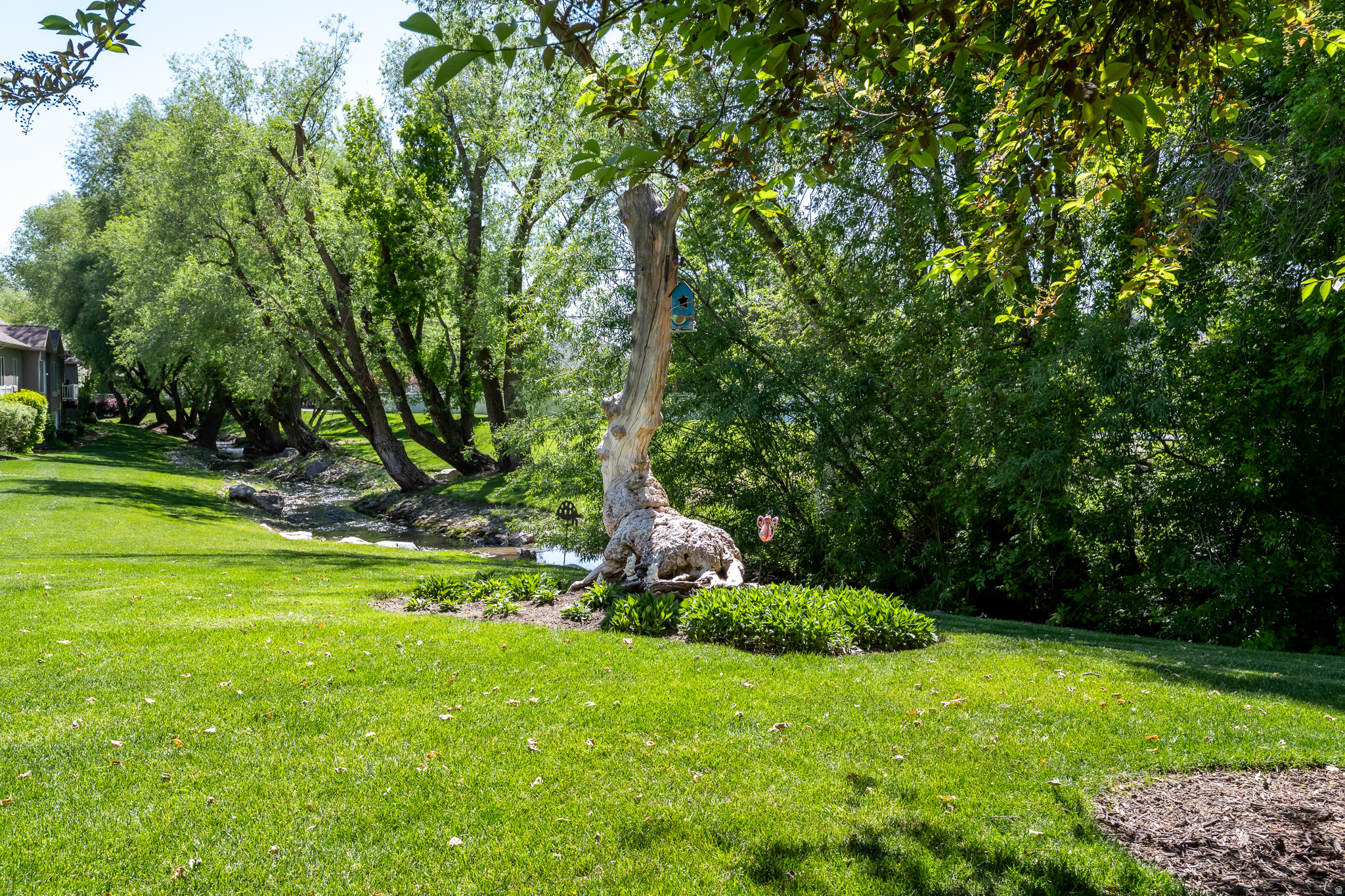 CLEARWATER COVE - Residential