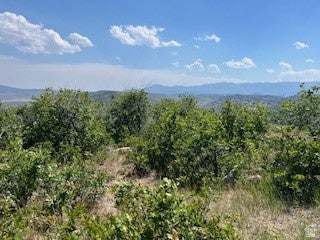 248 RIDGETOP 197, COALVILLE, UT 84017 - Image 751d2fd15f4dc693e4dd4048e726ce25/1996890914
