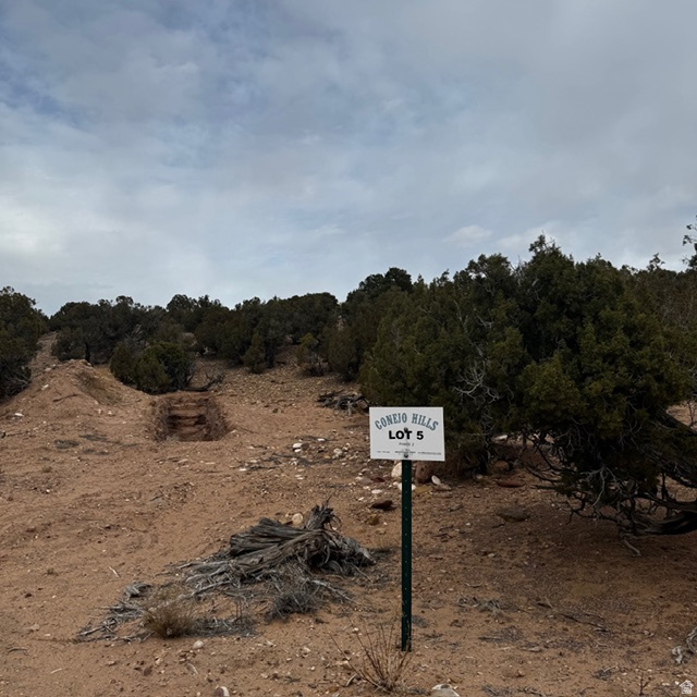CONEJO HILLS - Land