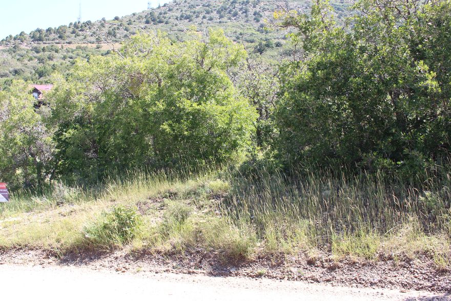 Fantastic building lot in Cedar Highlands. This lot sits up high toward the eastern part of the subdivision. Build site can be accessed from the east or west boundary of the lot. Great views and surroundings. Seller is a licensed contractor and will build to suit. He has several Cabin style home plans to choose from. The price reflected on listing is only for the lot. Seller financing available