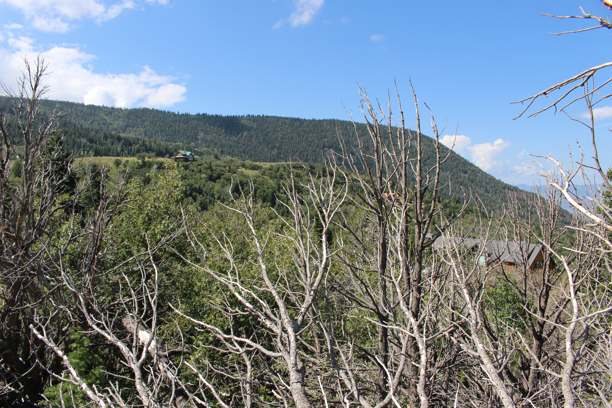 CEDAR HIGHLANDS SUBDIVISION - Land