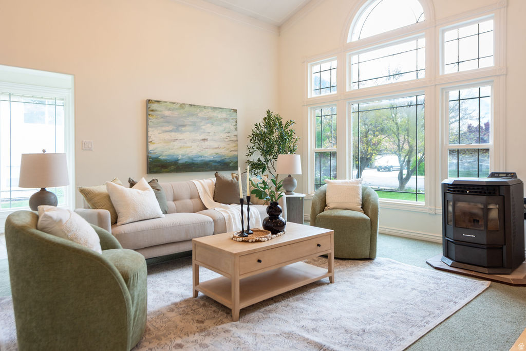 MOUNTAIN VIEW - Residential
