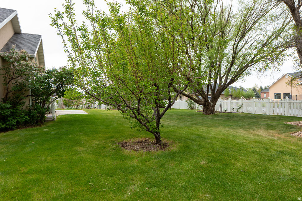 MOUNTAIN VIEW - Residential