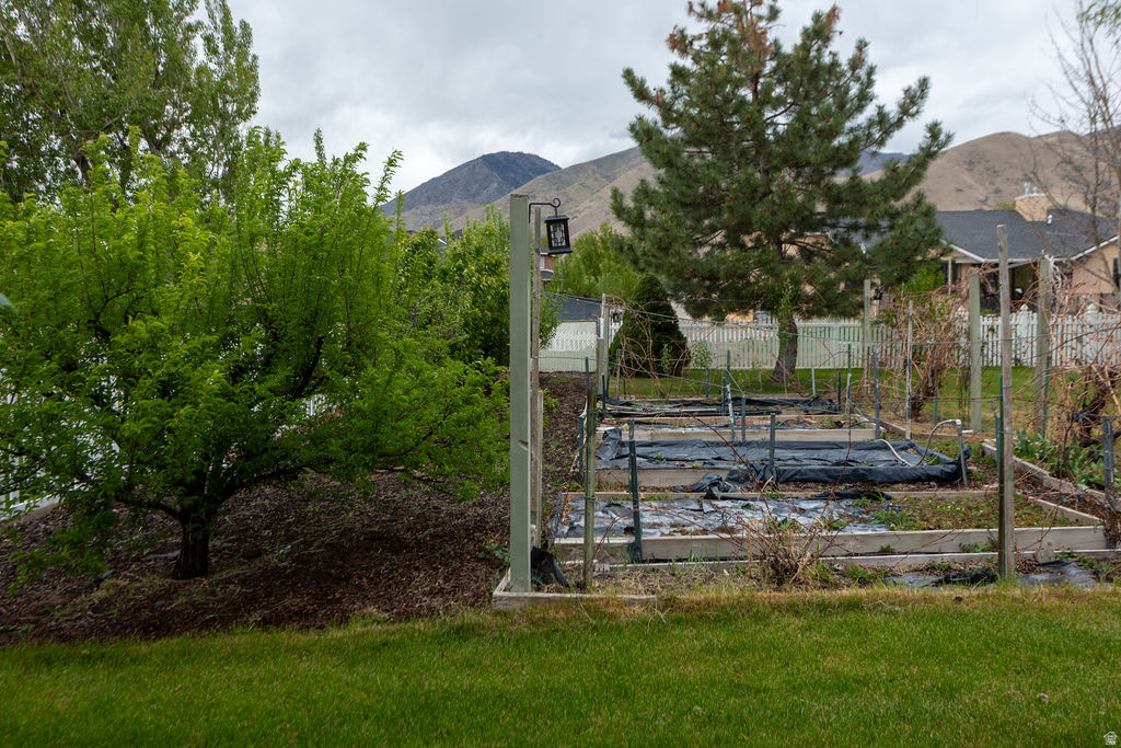 MOUNTAIN VIEW - Residential
