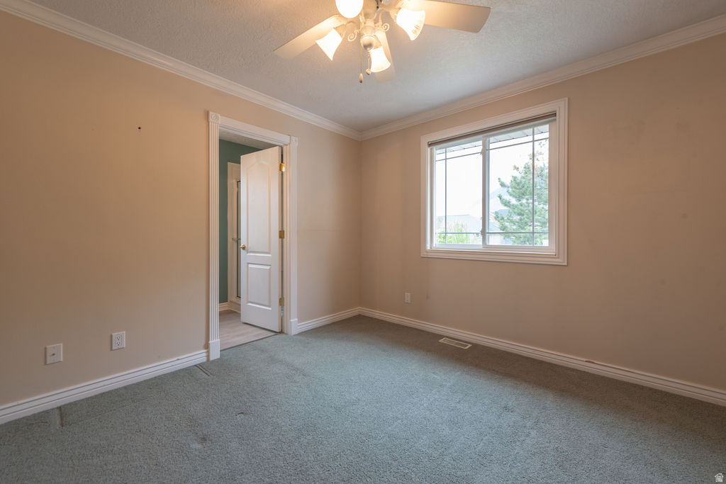 MOUNTAIN VIEW - Residential