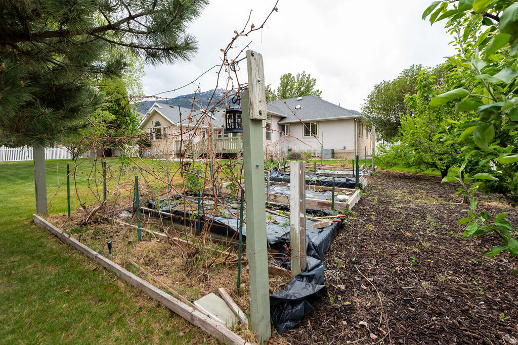 MOUNTAIN VIEW - Residential