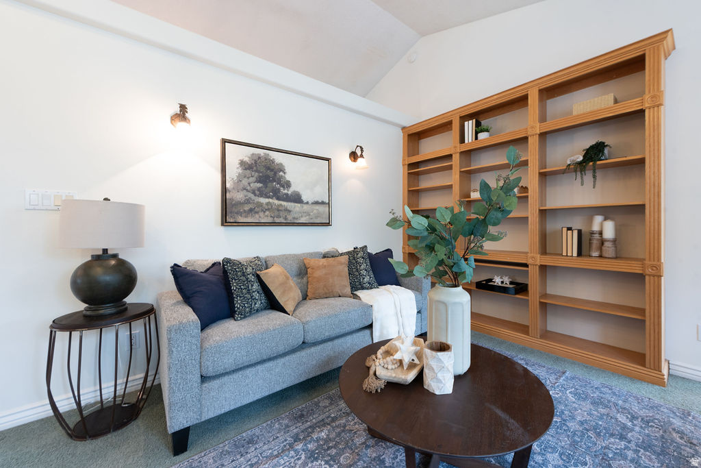 MOUNTAIN VIEW - Residential