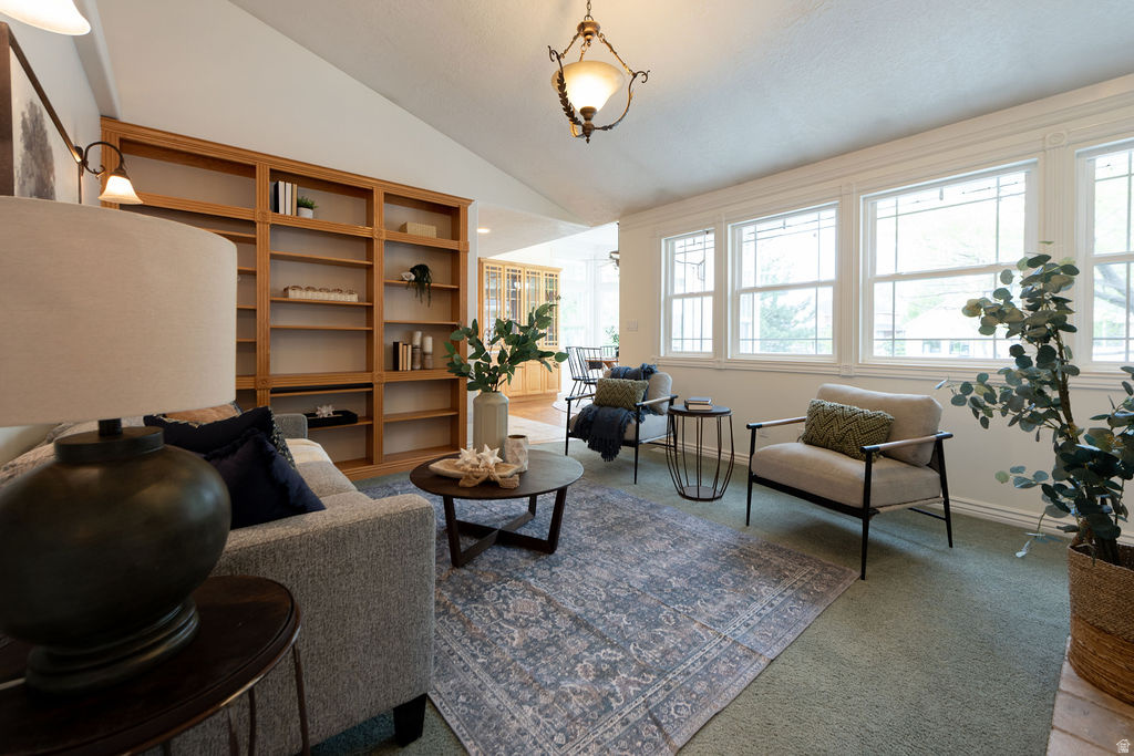 MOUNTAIN VIEW - Residential