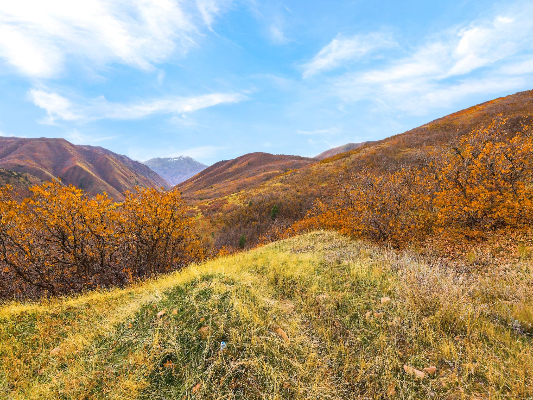 PLAT B SPRINGWOOD MTN HOME - Land