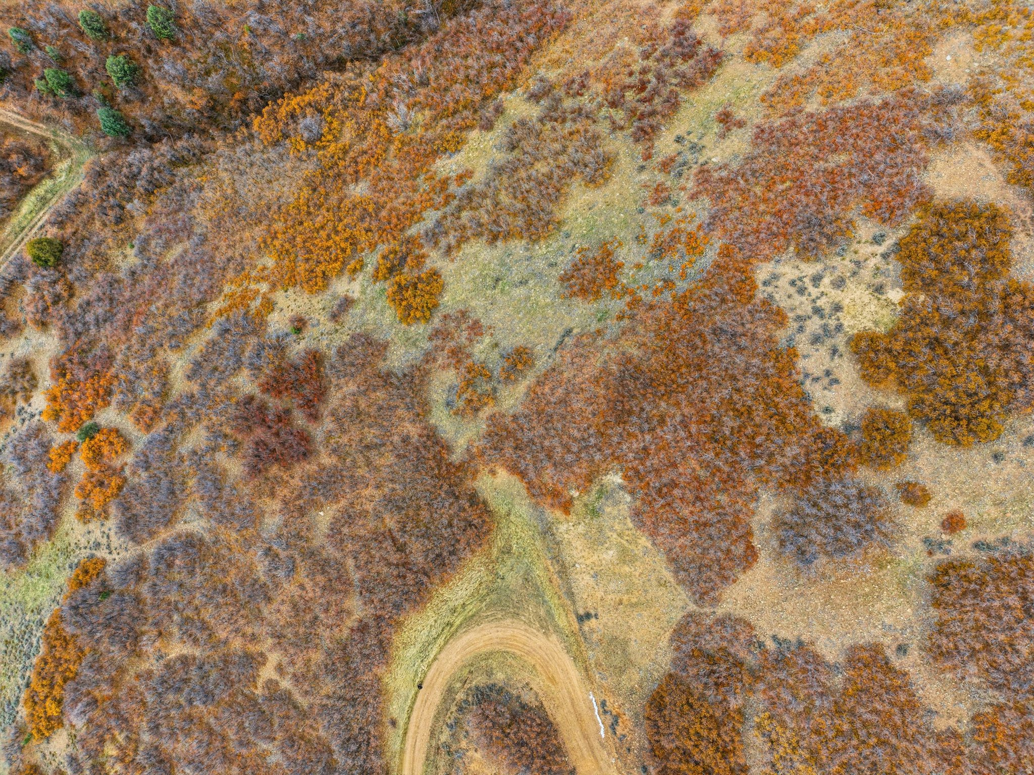 PLAT B SPRINGWOOD MTN HOME - Land