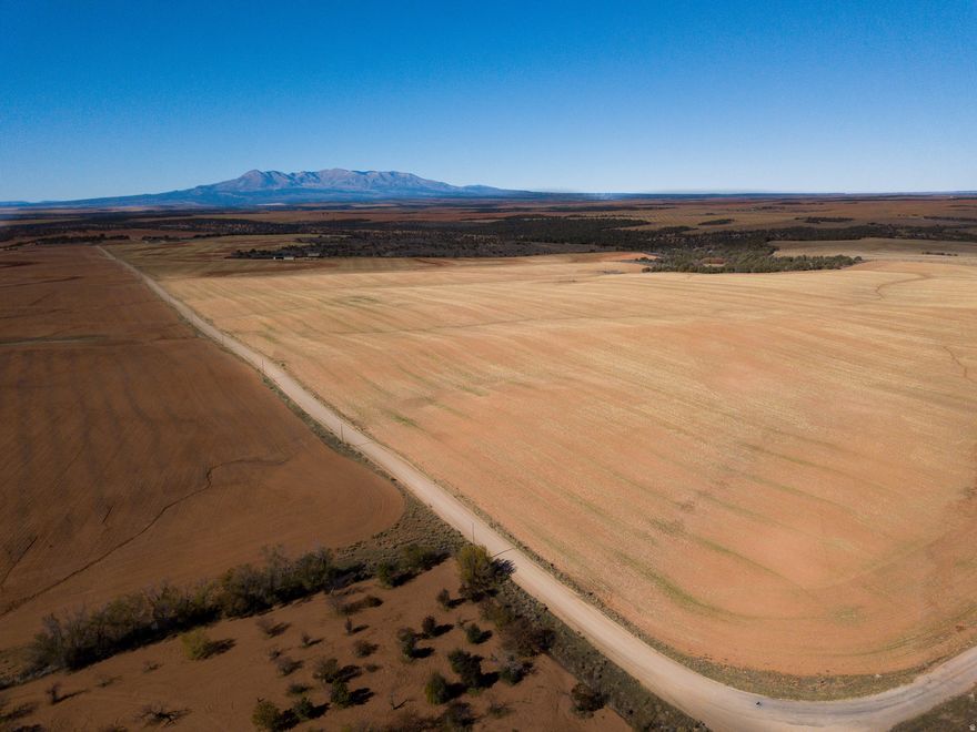 Escape to 160 acres of spectacular, income-producing land in the quiet Eastland community, perfectly nestled between Monticello and Dove Creek. This expansive property offers the ideal blend of farming income, recreational opportunities, and a truly magnificent setting for your future home. The majority of the acreage is currently dry farmed in a wheat/safflower rotation, providing crop share income that helps offset ownership costs. Beyond farming, the land is also in the Spring Creek/Dodge CWMU, providing a small second stream of income. The northwest corner is both beautifully treed and naturally elevated, making it an ideal spot for hunting cover, enjoying great views of the mountains, or for selecting the perfect building site. Power is nearby (connection fees apply), and the Eastland water line runs along the east and south sides of the property, with a fire hydrant located in the southwest corner, however, there are currently no tap rights available. Adding to the financial appeal, the property benefits from a greenbelt tax designation, ensuring that property taxes remain low.