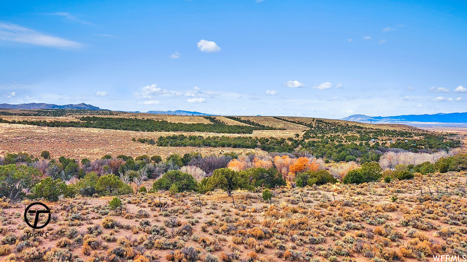 Land, Beaver, Utah image 29