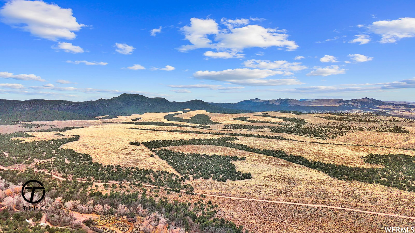 Land, Beaver, Utah image 18