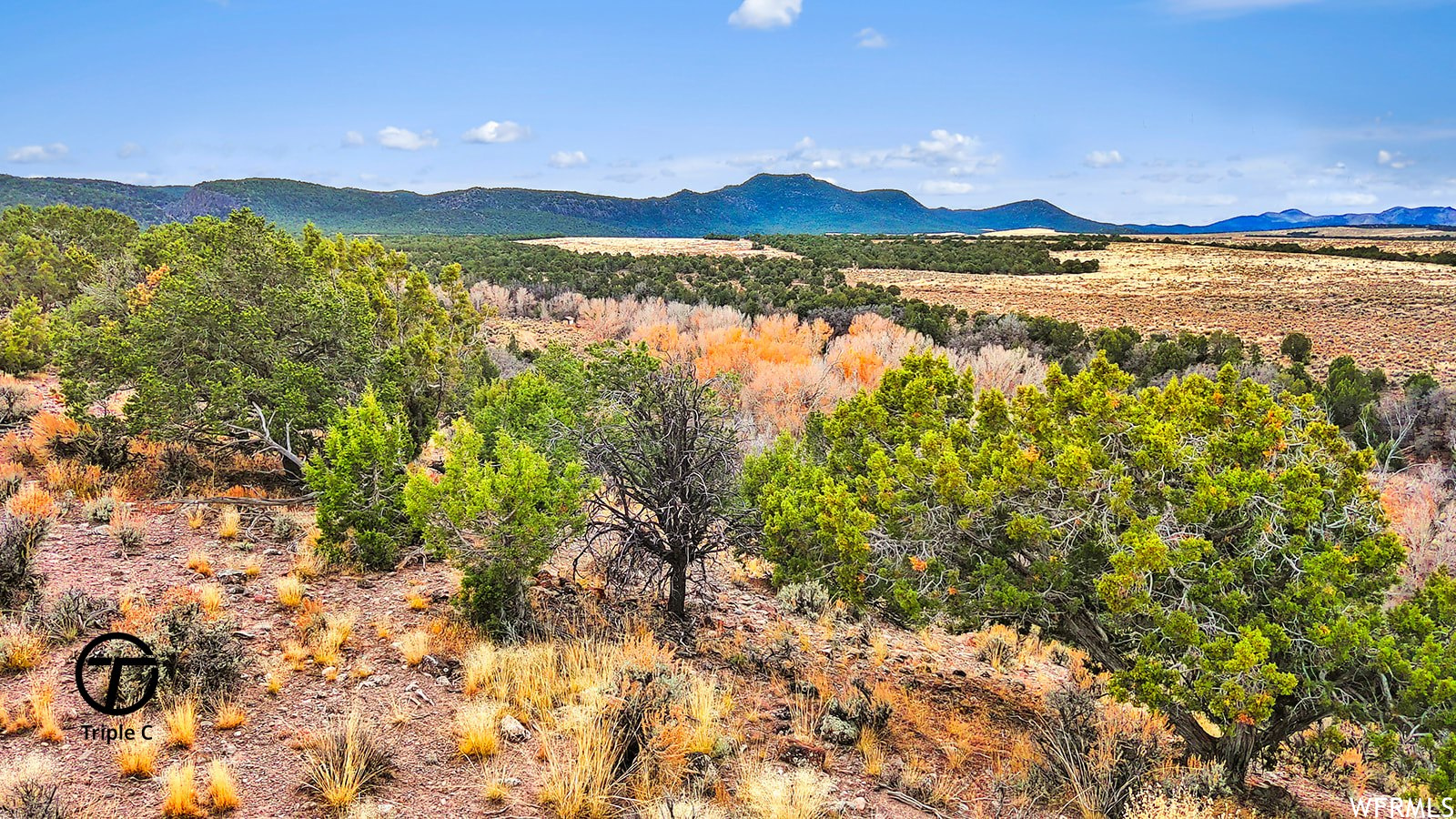 Land, Beaver, Utah image 27