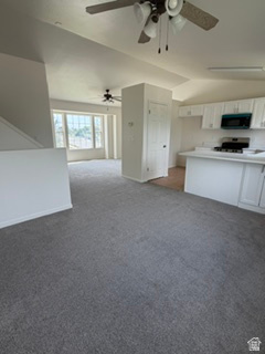 CRYSTAL CANYON - Residential