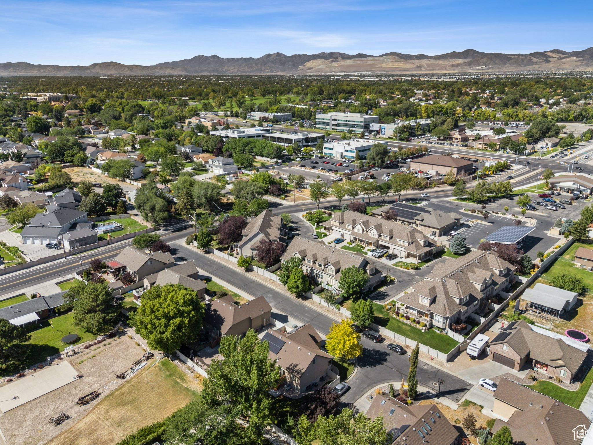 ELDERBERRY - Residential