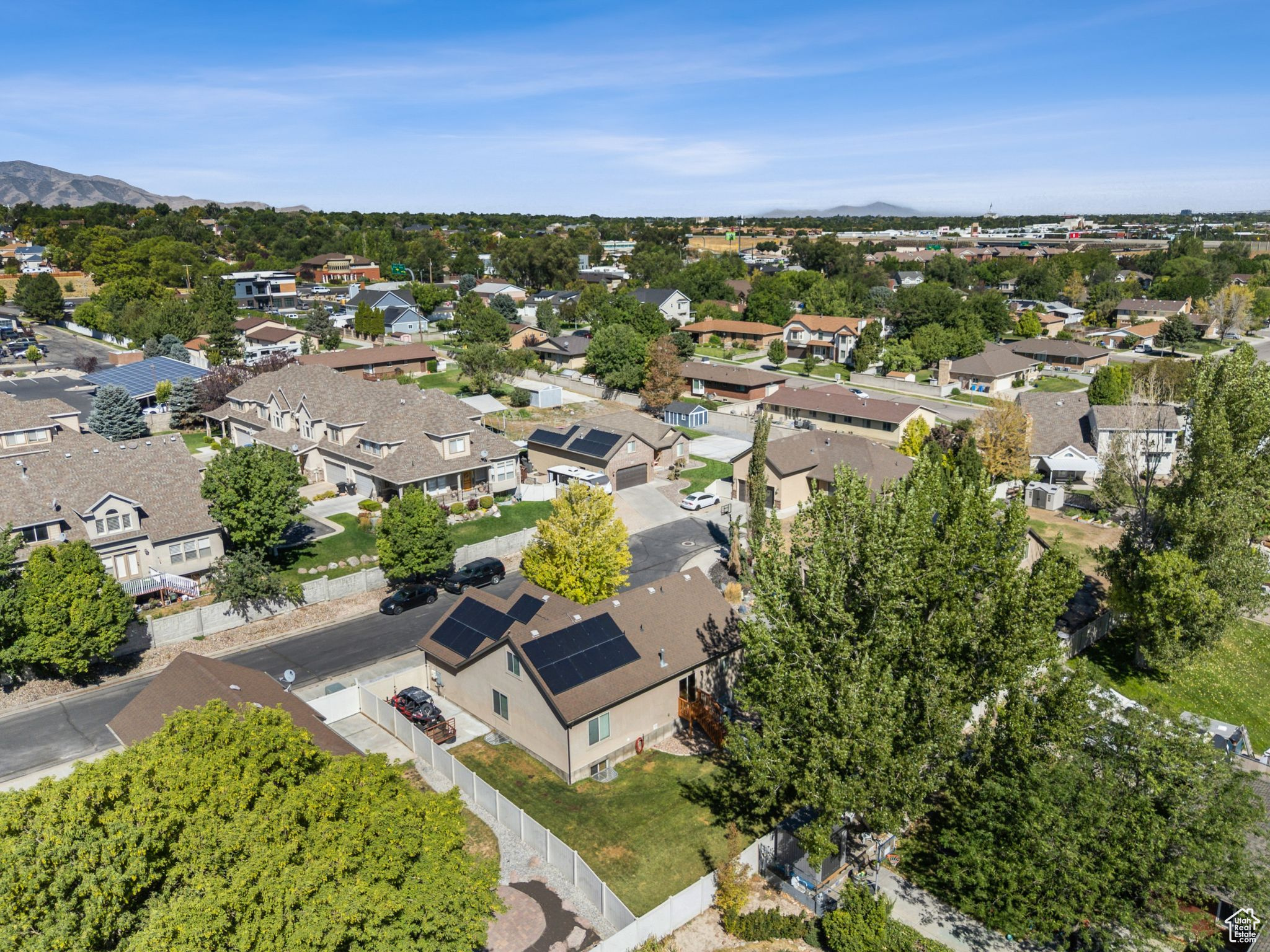 ELDERBERRY - Residential