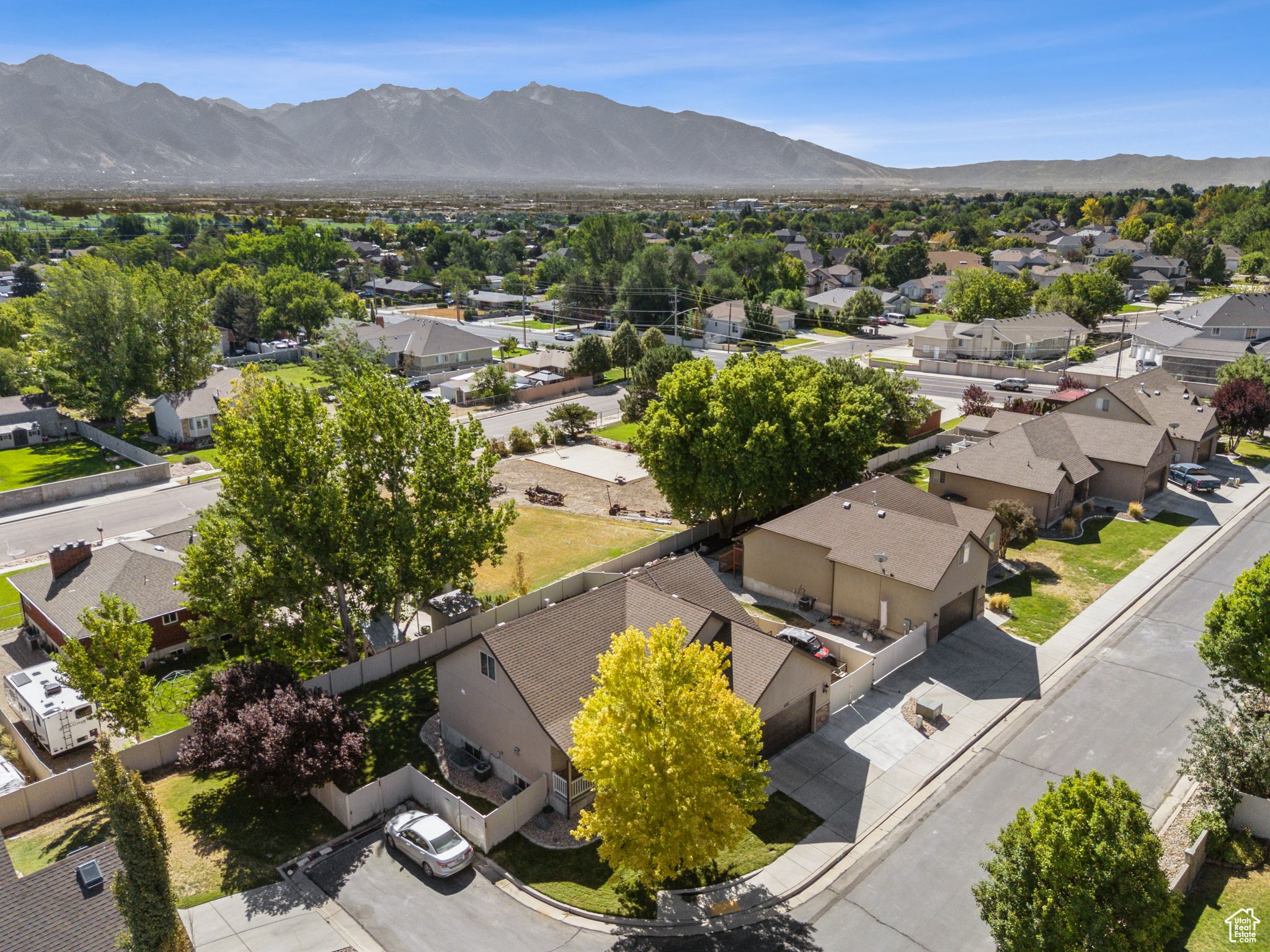 ELDERBERRY - Residential