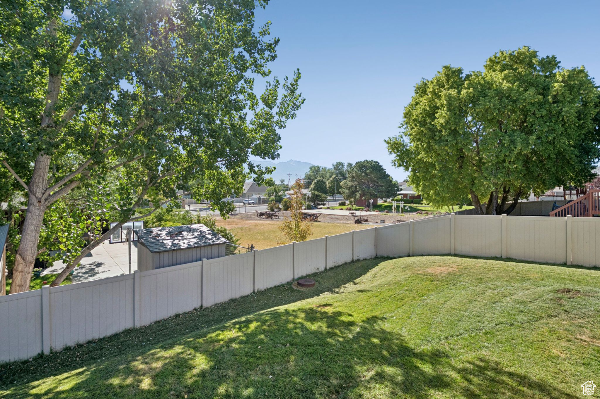 ELDERBERRY - Residential