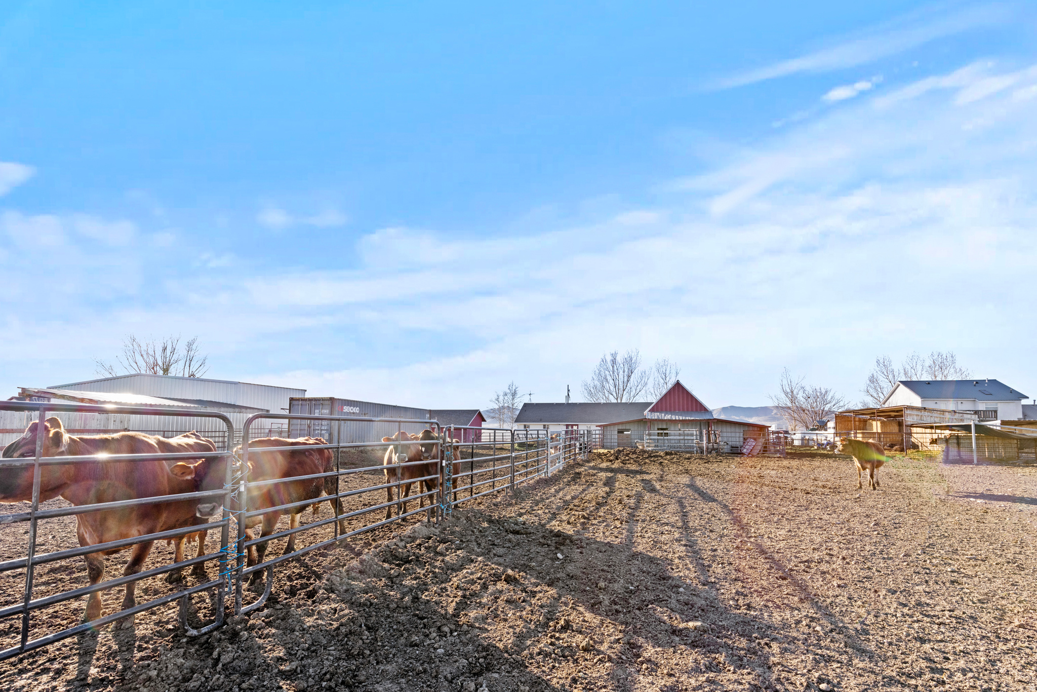 RON ANDERSEN MINOR S - Residential