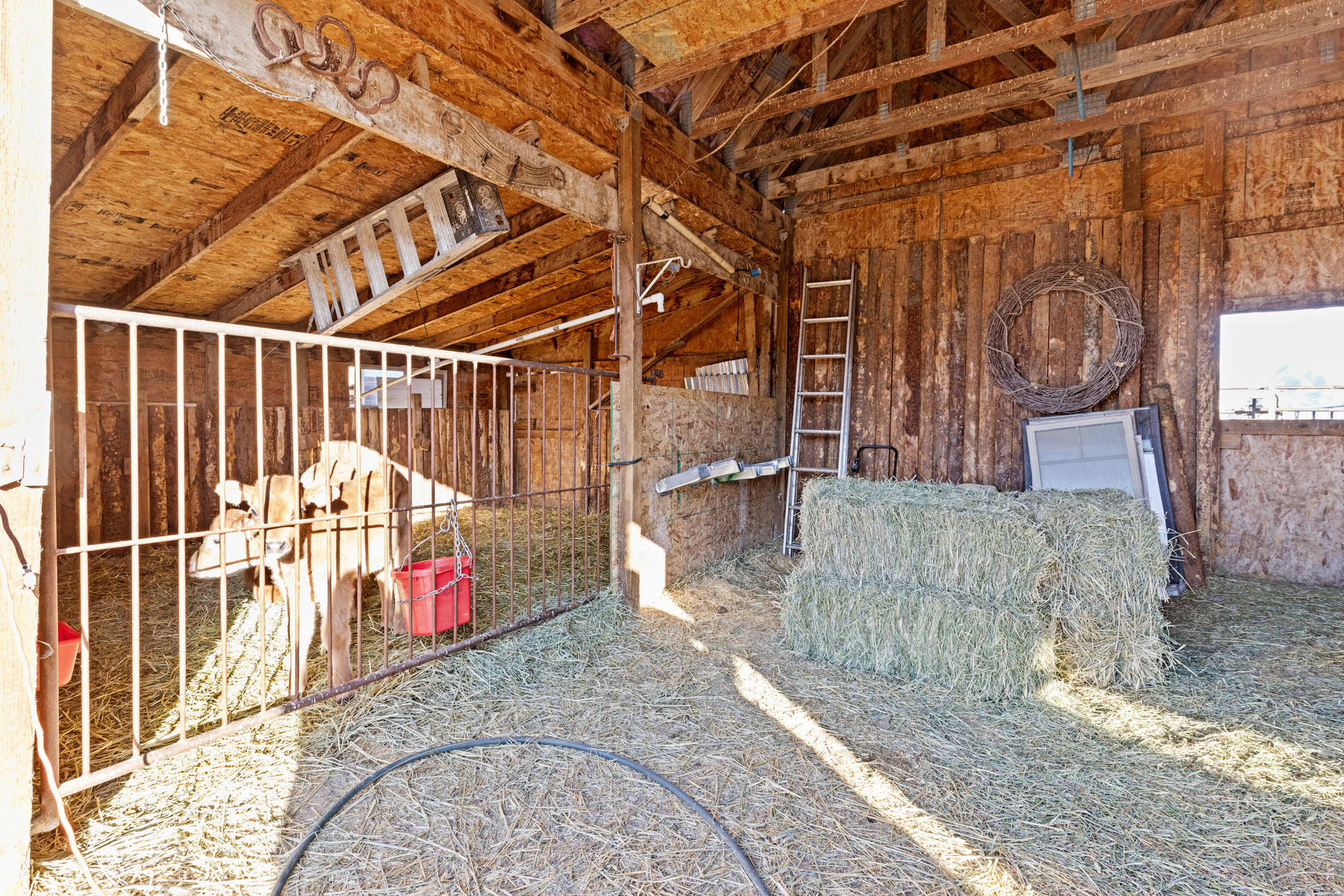 RON ANDERSEN MINOR S - Residential