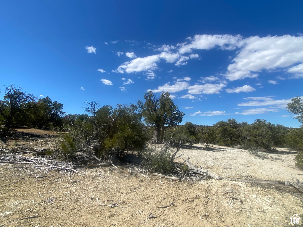 Land, Duchesne, Utah image 4